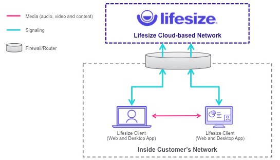 Lifesize Direct Media Diagramm